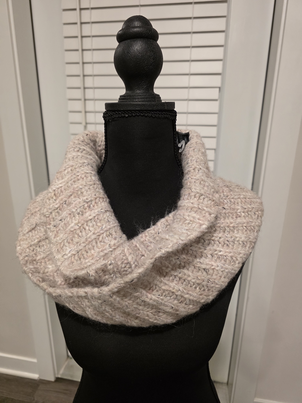 Express Blush Knit Infinity Scarf